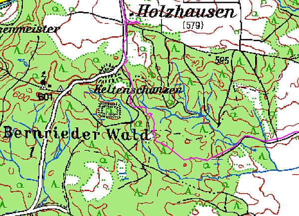 Bernrieder Wald